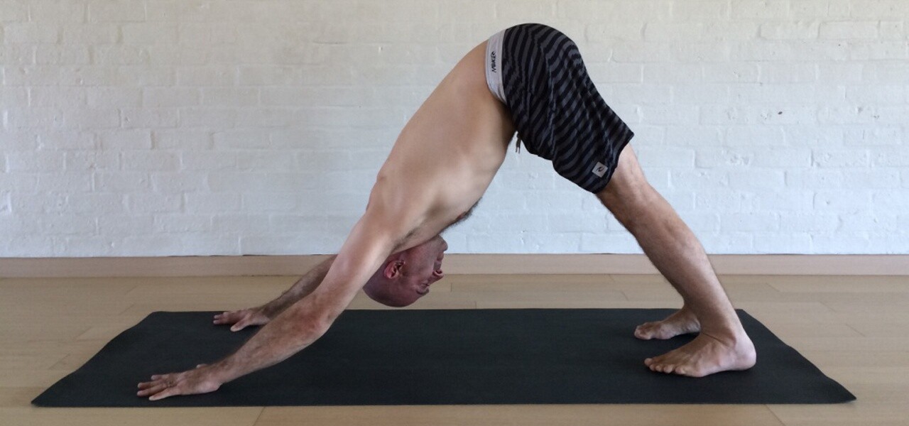 adho mukha svanasana